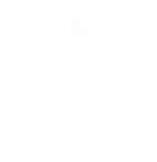 ShowTech 15 Year Logo